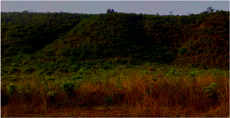 View of the Small Hill Range in Chandil