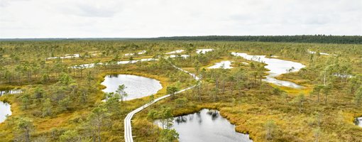 Day Trip from Riga to Kemeri National Park, Latvia