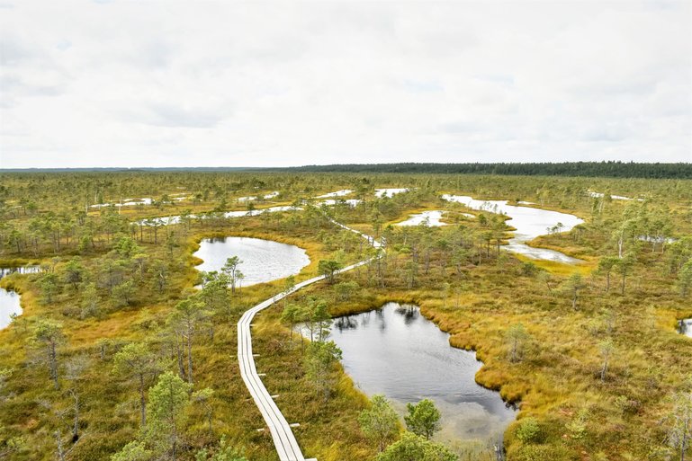 View of the Great Kemeri Bog