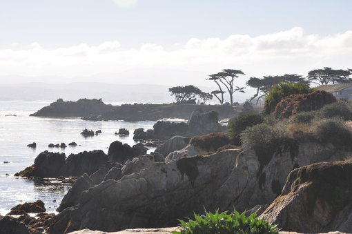 Five Things to do on Monterey Peninsula (for Non-Golfers)