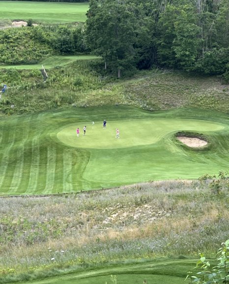 Fazio Premier Course