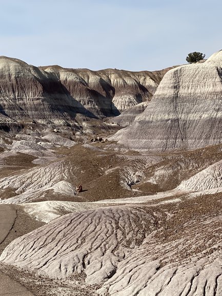 Blue Mesa Trail at Petrified Forest National Park