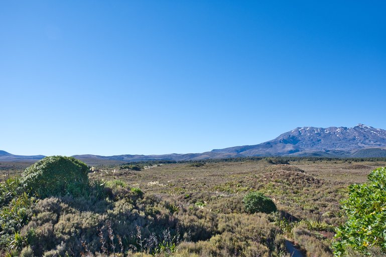 The view from the lookout looking over the mounds and Mt. Ruapehu