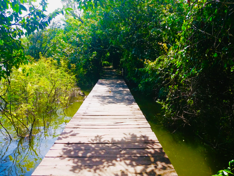 Charco Verde, Ometepe.