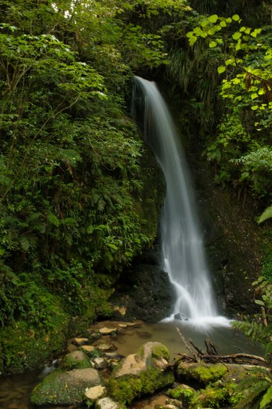 You'll see the falls through the bush.