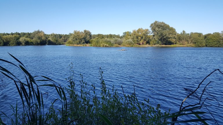 Lackford Lakes, Bury St Edmunds