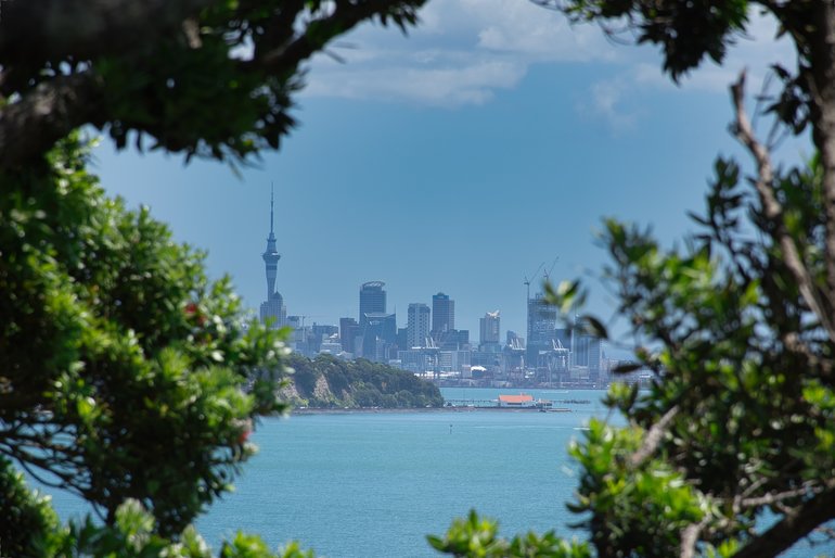 Auckland City from Achilles Point framed by the trees