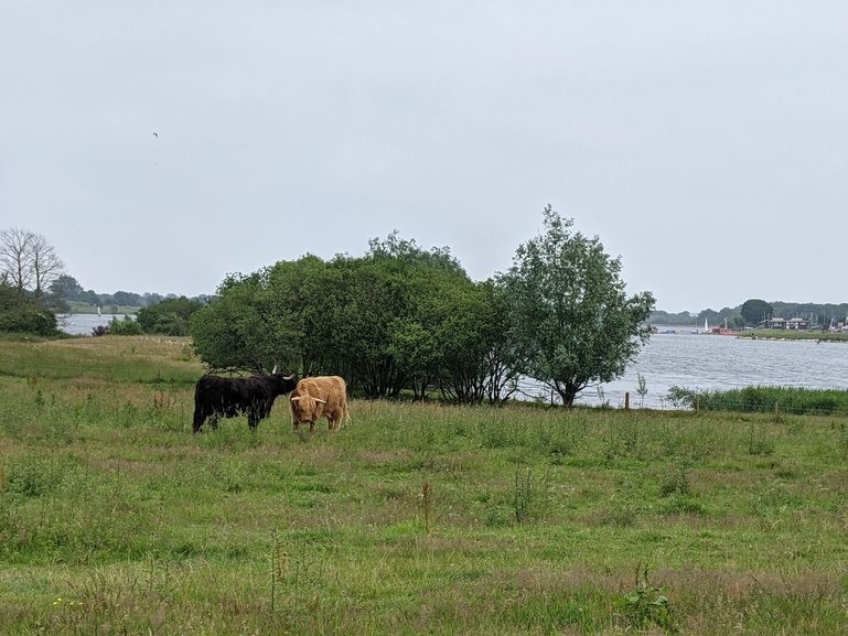 Alton Water is the perfect destination for walkers, cyclists and nature lovers.