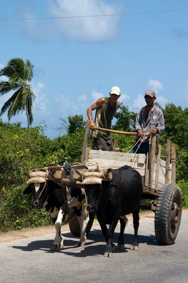 Cuba