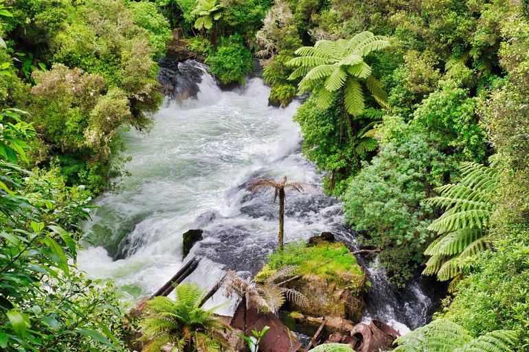 Okere Falls are the first falls that you come to on the track.