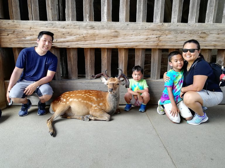 Both adults and kids can make amazing memories with the deers of Nara !