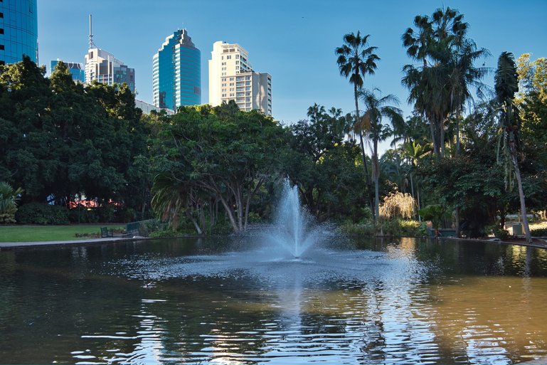 The Duck Pond and Fountain in the Botanic Gardens