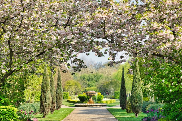 The blossoms in the spring bring the gardens to life