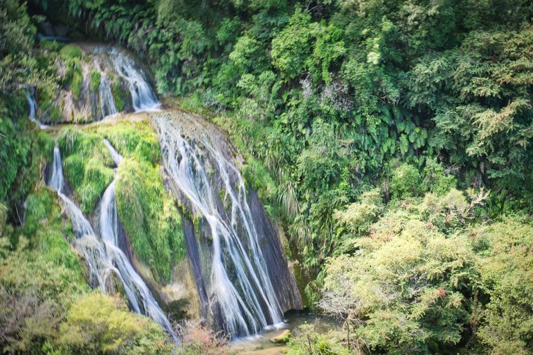 The view from the lookout over Tangoio Falls.