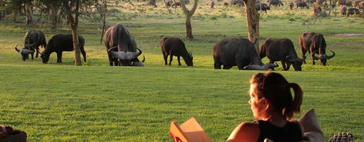 Tips from Safari Specialist When Booking Your Kenyan Safari