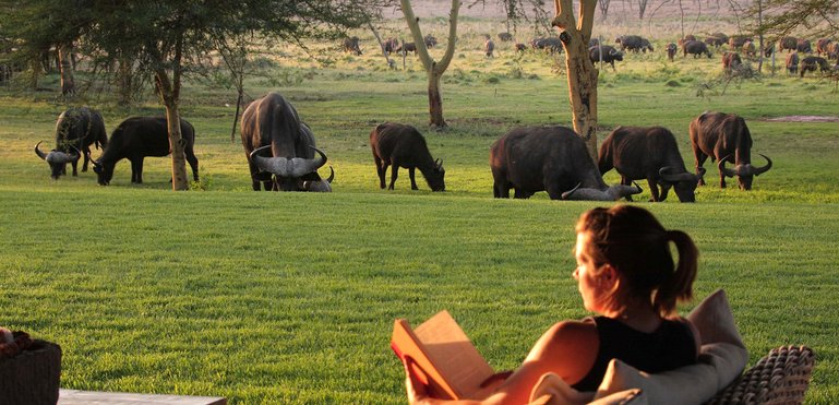 Enjoying a good read at Sirikoi Lodge Eastern Circuit, Kenya