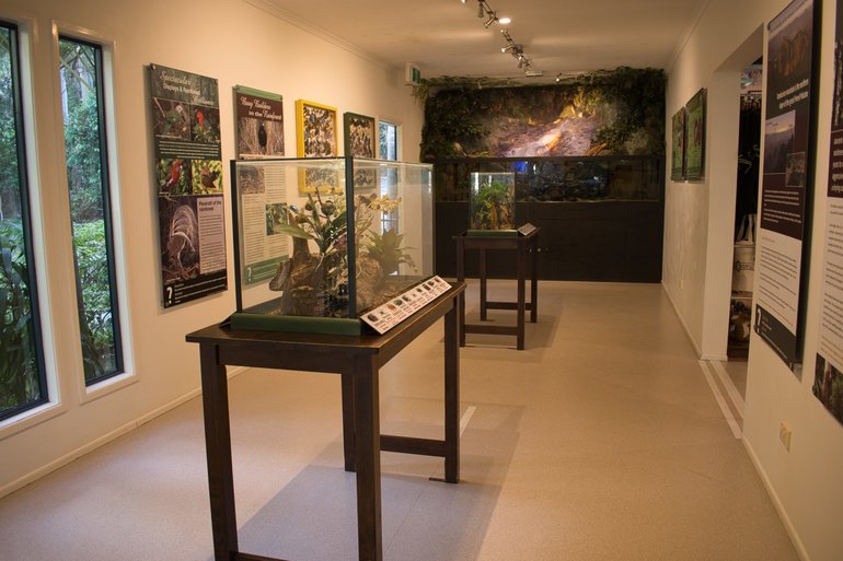 In the Eco Gallery, you will find information about the flora and fauna in this area