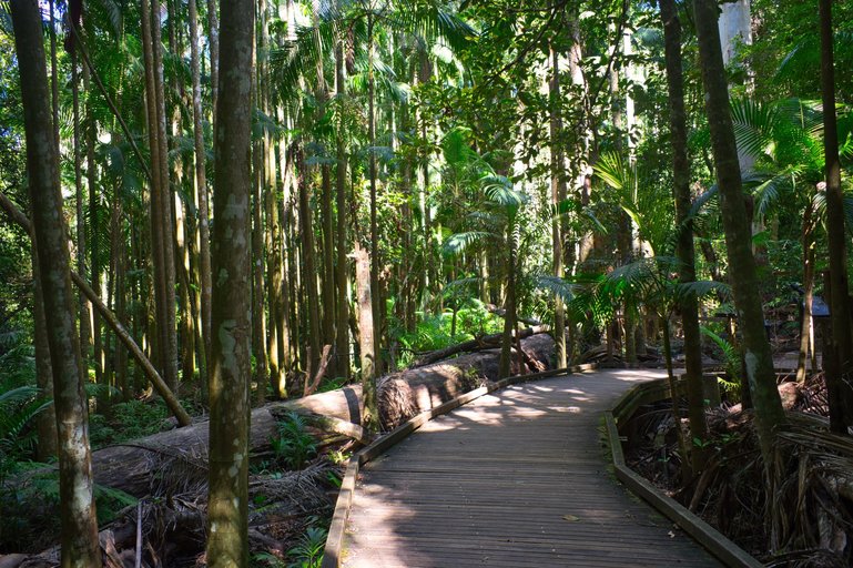 Boardwalks see you safely over waterways and above fragile ground