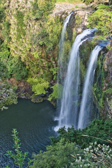 Whangarei Falls from the lookout above.