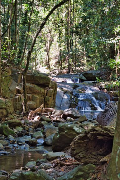 Boardwalks and bridges help you cross the stream and cascades can be seen as you walk beside the stream