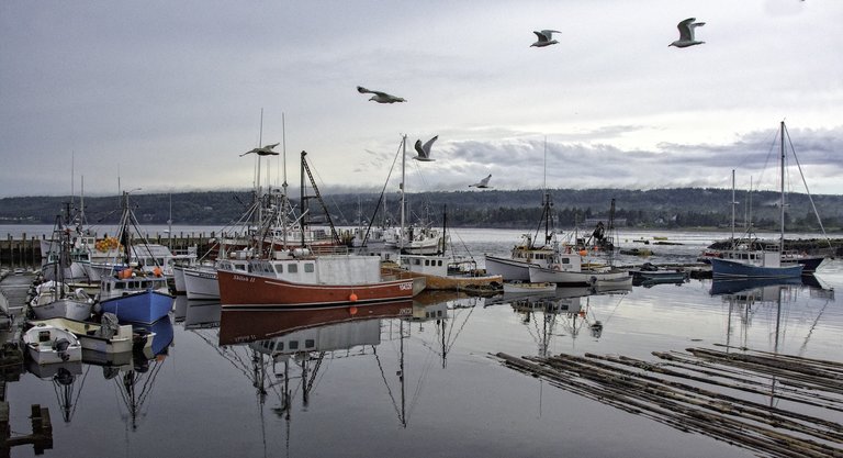 Small marina in New Brunswick