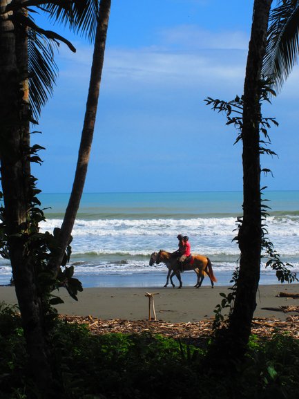 Cahuita Beach