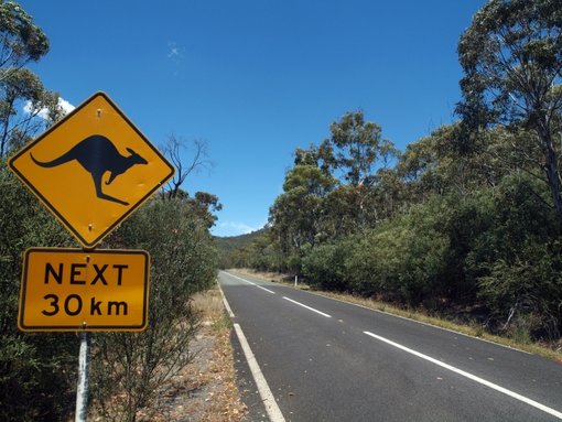 How To Save Money While Road Tripping Around Australia