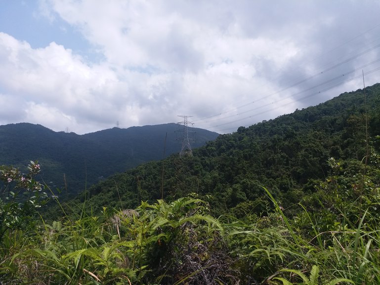 After this cable tower you will see one of the China clay pits on your left (5 min. walk)