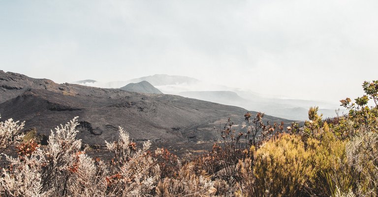 Burned mountain