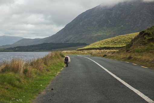 Tips for Driving in Ireland