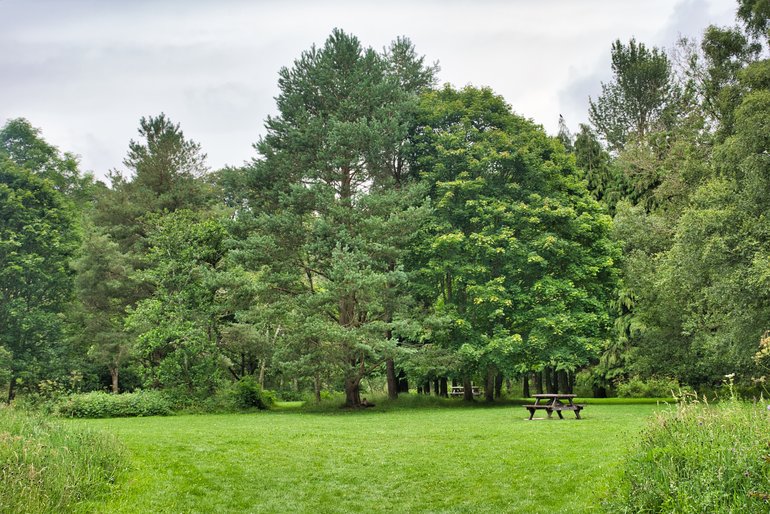 Enjoy a picnic before continuing on your walk