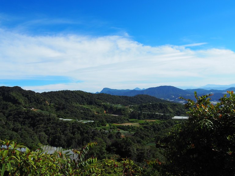 Ipoh is a popular in-between stop before Cameron Highlands