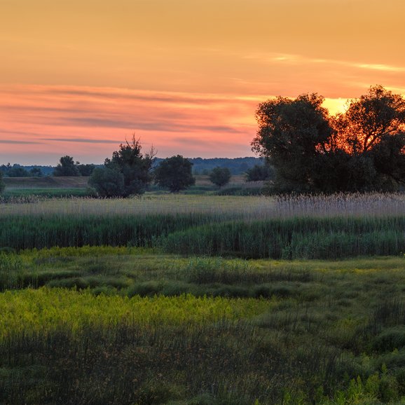 Kopački rit Nature Park