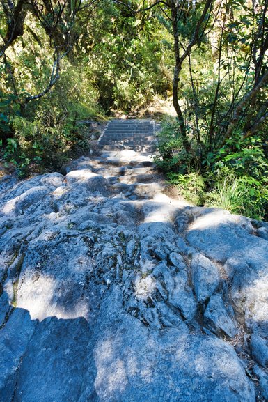 The rocks down at the end of the track to the view of the waterfall