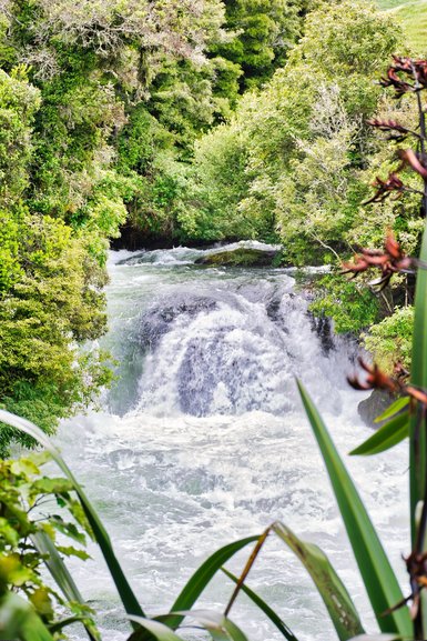 Trout Pool Falls at the end of the track