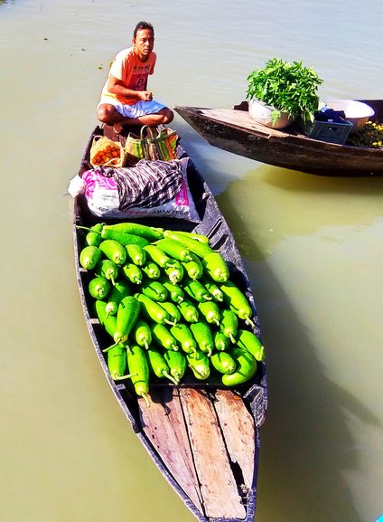 A vendor taking his vegetable (bottle gourd) to the floating market