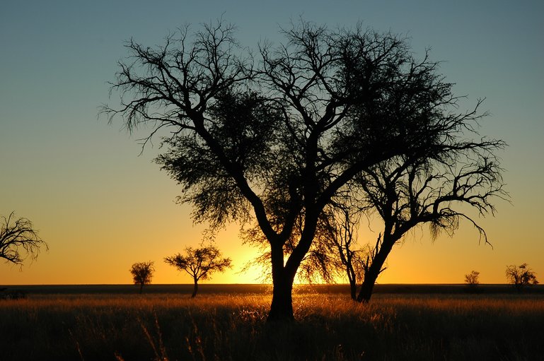 Sunset in Namib-Naukluft National Park