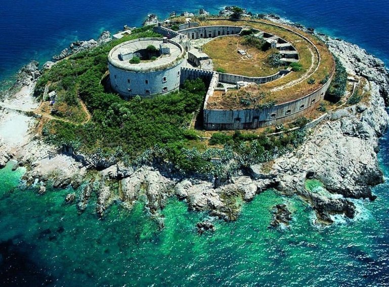 Mamula