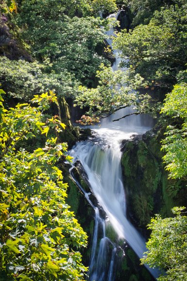 The Ceunant Mawr Waterfall beside the railway line and coming out of the bush
