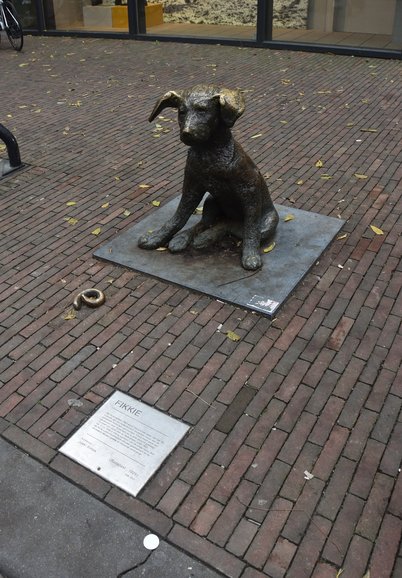 Fikkie, Rotterdam's beloved dog