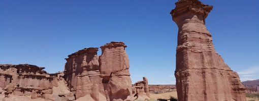 Discovering the Wonders of the Valle de la Luna and Talampaya