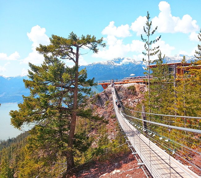 Suspension bridge at Sea to Sky Gondola