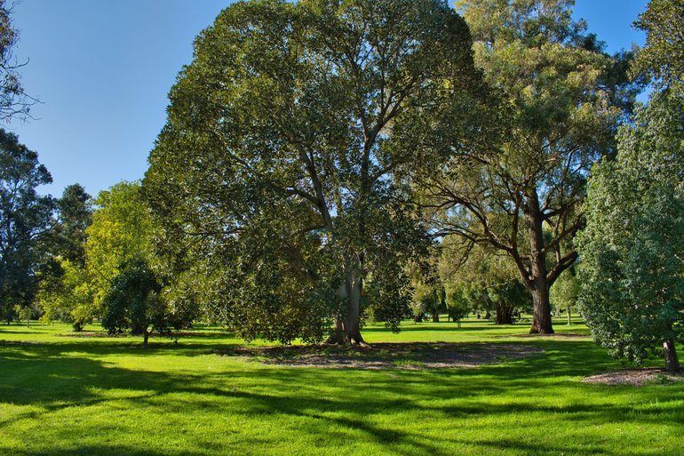 There are plenty of green spaces to relax away an afternoon