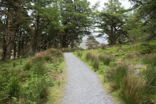 Walking Trail in Snowdonia National Park