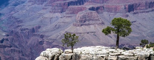 The North Rim of the Grand Canyon