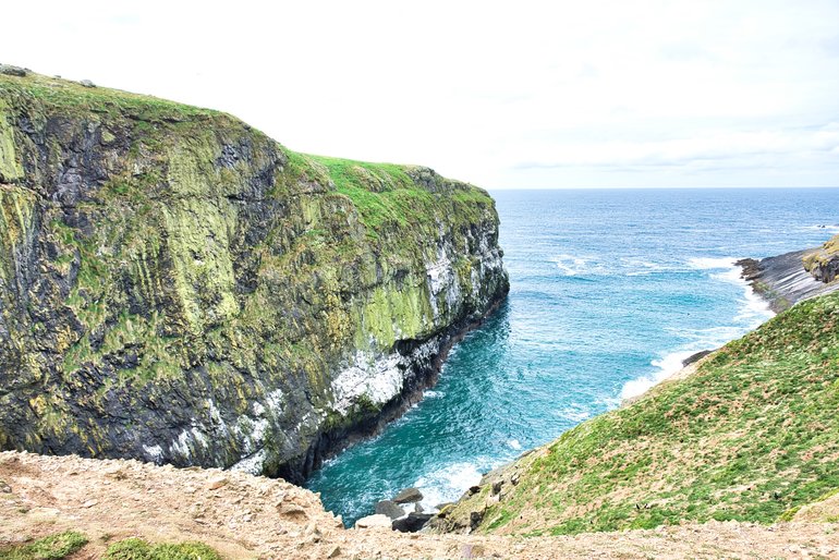 The dramatic piece of coastline called The Wick. This is where the biggest colony of Puffins were.