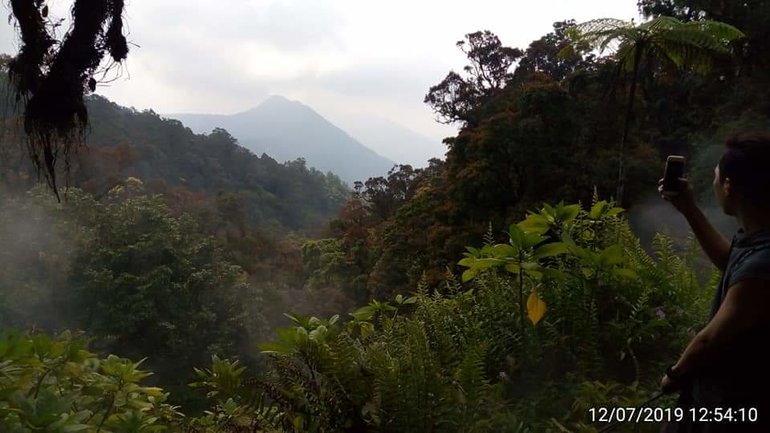 Tropical Rain Forest Mount Gede Pangrango Bogor West Of Java