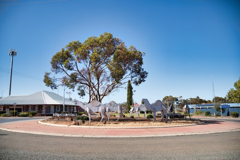 The camels on the roundabout.