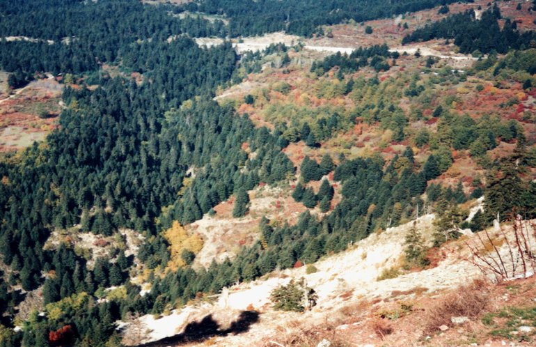 On the way to Pertouli