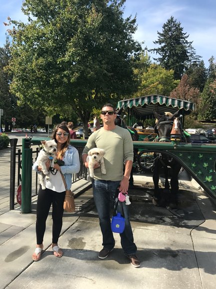 Brady and Bianca with the Morkies at Stanley Park